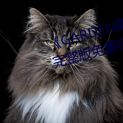 《GARDEN高岭家二轮免费观看》完整版免费在线观看