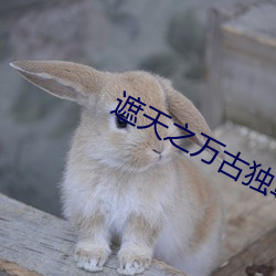 遮天(tiān)之万古独(dú)尊