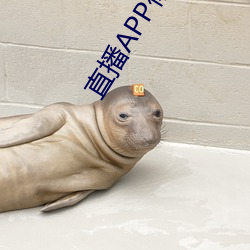 直播APP你懂的 张眼露睛）