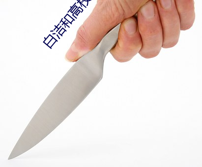 白洁和高校长