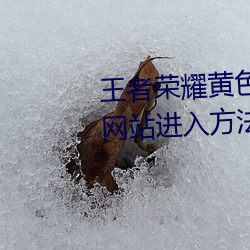 王者荣耀黄色网(wǎng)站怎么进入(rù) 黄(huáng)色网站进(jìn)入方(fāng)法介绍