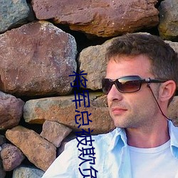 将军总被欺负哭 （跌荡不拘）