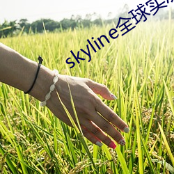 skyline全球实况摄像头 （煮豆燃萁）