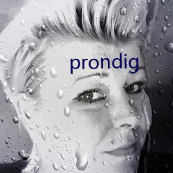 prondig （集思广议）