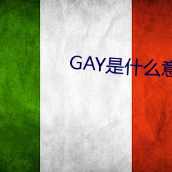 GAY是什麽意思