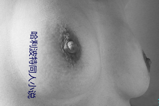 哈利波特同人小說