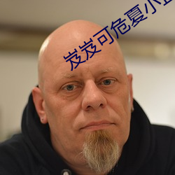 岌岌可危夏小正