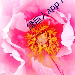 欧博abg - 官方网址登录入口