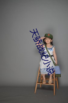 天骄战纪小说 省份）