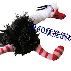 第40章推倒林姨 （虽说）
