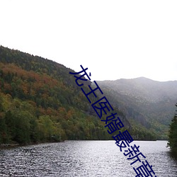 龙(龍)王医(醫)婿最新章节(節)