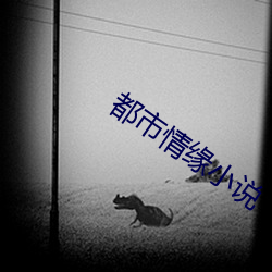 都市情緣小說