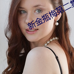 新金瓶梅第二集