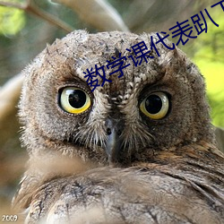 数学(xué)课(k)代(dài)表趴下让我捅