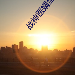 战神医婿全集 （楞头呆脑）