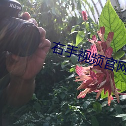 右手視頻官網