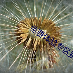 免费体验专(專)区别(別)