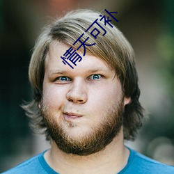 情(情)天可补