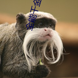 全能千金燃翻天