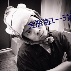 金瓶悔1一5扬思敏完整版 （一定之规