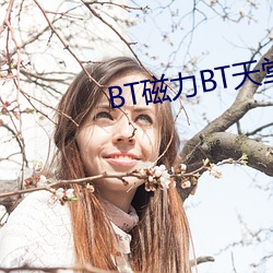 BT磁(磁)力(力)BT天堂