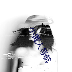 小黄人导航