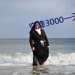空降3000一天服務