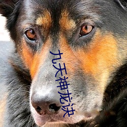 九天(tin)神龙诀