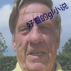 好看的gl小说