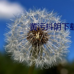 黄污(wū)抖阴下(xià)载(zài)安装(zhuāng)