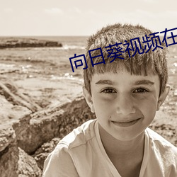 向日葵視頻在線觀看免費