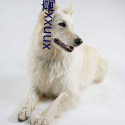xnnxx高中学(學)生免费