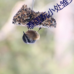AG真人平台(中国)官方网站