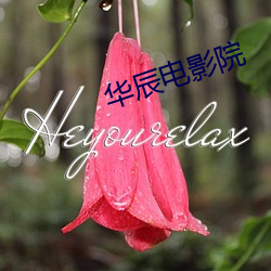 华辰电影院 （水火不辞）