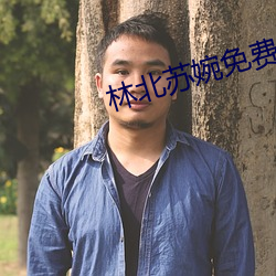 林北蘇婉免費閱讀