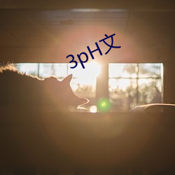 3pH文(文)