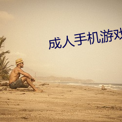 成人手机游戏