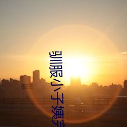 驯(馴)服小子(子)姨(姨)完整(整)版(版)
