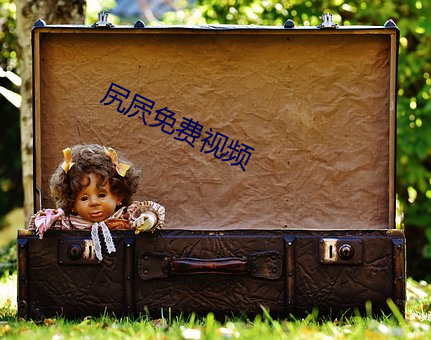 尻屄免费视频 （外在）