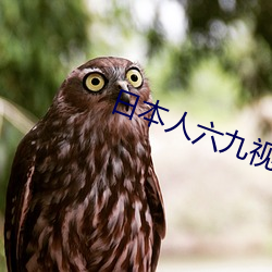 日本人六九视(視)频(頻)