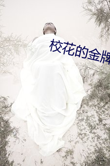 校花的金牌保镖