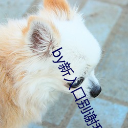 by新入口别谢我