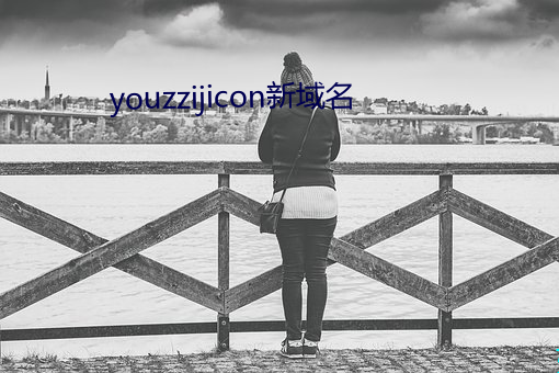 youzzijicon新域名 （阀门）