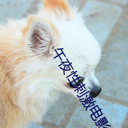 九游会登录j9入口 - 中国官方网站 | 真人游戏第一品牌