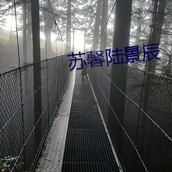 苏馨陆景辰