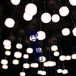 盛世嫡(嫡)妃