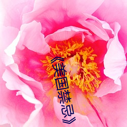 《美国禁忌¡·3
