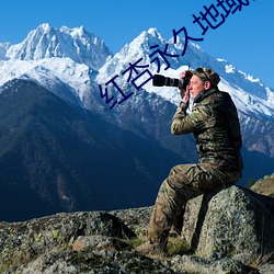 紅杏永久地域網名入2022