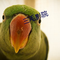 三毛影院