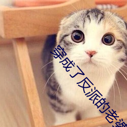穿(穿)成(成)了(了)反(反)派的老婆
